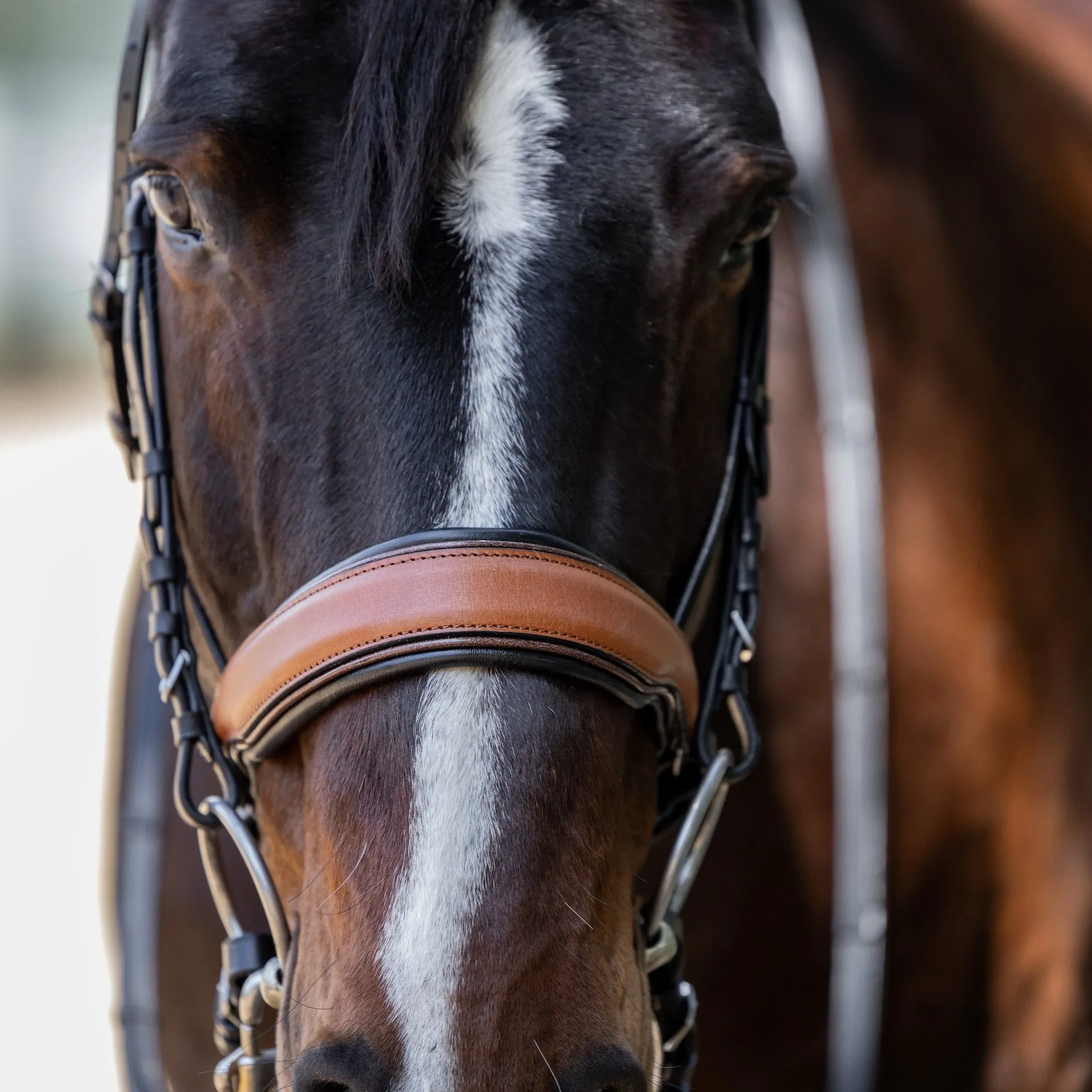 Madrid - Cognac Leather Snaffle Bridle With Flash